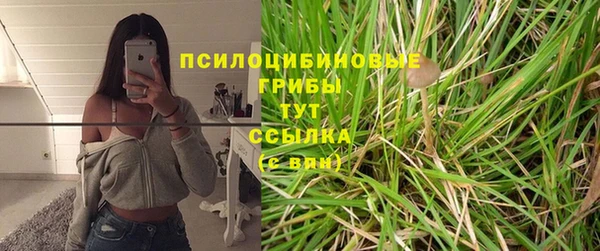 амф Магас
