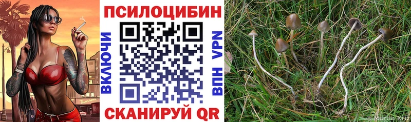 Псилоцибиновые грибы GOLDEN TEACHER  Орёл 